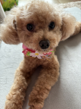 Club Queen - ユアの女の子ブログ画像