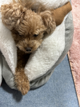 Club Queen - ユアの女の子ブログ画像