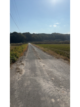 Club Queen - ユアの女の子ブログ画像