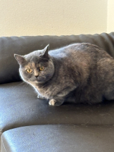 Club Queen - ユアの女の子ブログ画像