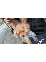 Club Queen - ユアの女の子ブログ画像