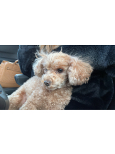 Club Queen - ユアの女の子ブログ画像