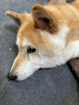 Club Queen - ユアの女の子ブログ画像