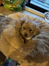 Club Queen - ユアの女の子ブログ画像