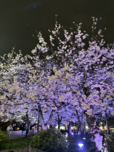 Club Queen - ユアの女の子ブログ画像