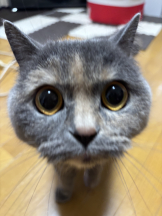 Club Queen - ユアの女の子ブログ画像