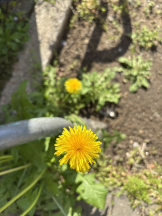 Club Queen - ユアの女の子ブログ画像