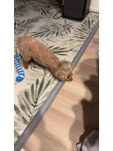 Club Queen - ユアの女の子ブログ画像