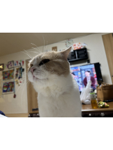 Club Queen - ユアの女の子ブログ画像