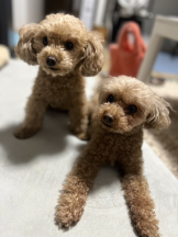 Club Queen - ユアの女の子ブログ画像