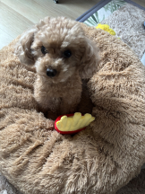 Club Queen - ユアの女の子ブログ画像