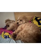 Club Queen - ユアの女の子ブログ画像