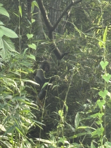 Club Queen - ユアの女の子ブログ画像