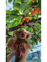 Club Queen - ユアの女の子ブログ画像