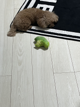 Club Queen - ユアの女の子ブログ画像