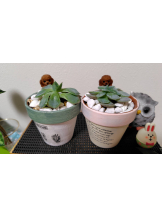 Club Queen - ユアの女の子ブログ画像