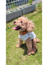 Club Queen - ユアの女の子ブログ画像