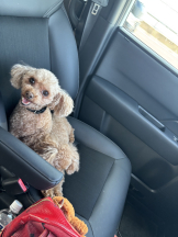 Club Queen - ユアの女の子ブログ画像