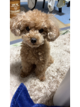 Club Queen - ユアの女の子ブログ画像