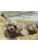 Club Queen - ユアの女の子ブログ画像