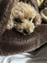 Club Queen - ユアの女の子ブログ画像