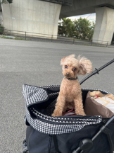 Club Queen - ユアの女の子ブログ画像