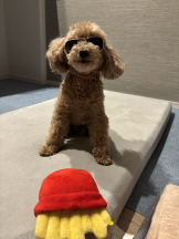 Club Queen - ユアの女の子ブログ画像