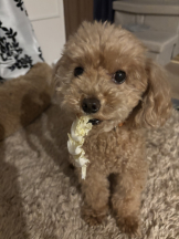 Club Queen - ユアの女の子ブログ画像