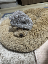 Club Queen - ユアの女の子ブログ画像