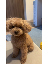 Club Queen - ユアの女の子ブログ画像