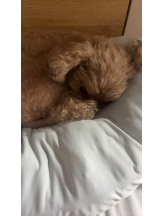 Club Queen - ユアの女の子ブログ画像