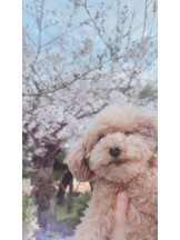 Club Queen - ユアの女の子ブログ画像