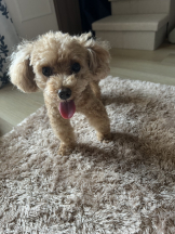 Club Queen - ユアの女の子ブログ画像