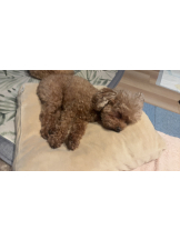 Club Queen - ユアの女の子ブログ画像