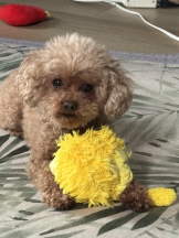 Club Queen - ユアの女の子ブログ画像