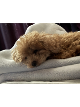 Club Queen - ユアの女の子ブログ画像