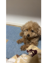 Club Queen - ユアの女の子ブログ画像