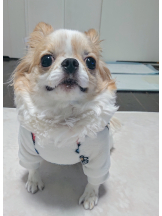 Club Queen - シノンの女の子ブログ画像