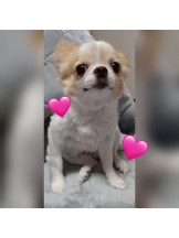 Club Queen - シノンの女の子ブログ画像