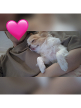 Club Queen - シノンの女の子ブログ画像