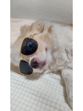 Club Queen - シノンの女の子ブログ画像