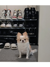 Club Queen - シノンの女の子ブログ画像