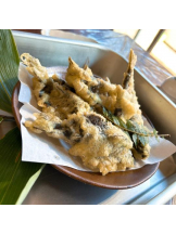 SOPHIA - しおんの女の子ブログ画像