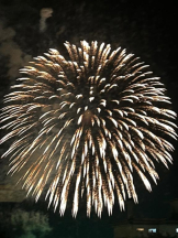 SOPHIA - しおんの女の子ブログ画像