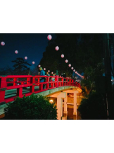 SOPHIA - しおんの女の子ブログ画像