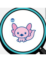 SOPHIA - しおんの女の子ブログ画像