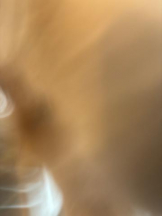 SOPHIA - りほの女の子ブログ画像