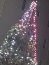 SOPHIA - ゆうかの女の子ブログ画像