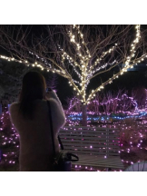 SOPHIA - ゆうかの女の子ブログ画像