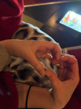 SOPHIA - ゆうかの女の子ブログ画像